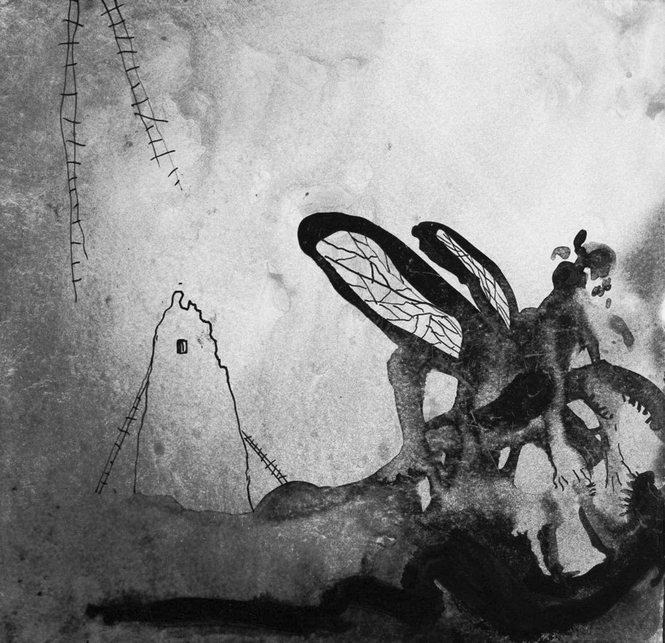 rty ���������